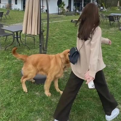 出发吧！我的脱单假期